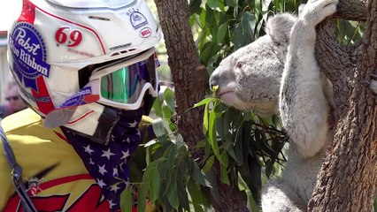 Ronnie Mac Goes Down Under