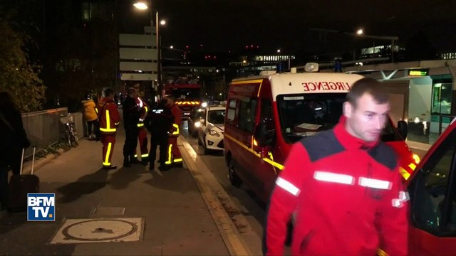 Comment un tigre s'est échappé d'un cirque à Paris avant d'être abattu
