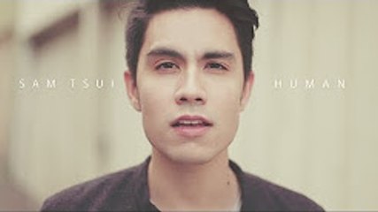Human (Christina Perri) - Sam Tsui Cover
