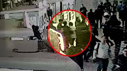 '끝까지 잡는다' 6년 전 한국 유학생 살인범 검거 / YTN