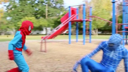 Download Video: Little Spiderman & Venom vs The Amazing Blue Spiderman - Real Life Superhero Movie | Superheroes | Spiderman | Superman | Frozen Elsa | Joker