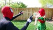 Poison Ivy vs Spiderman vs Batman - Real Life Superhero Movie | Superheroes | Spiderman | Superman | Frozen Elsa | Joker