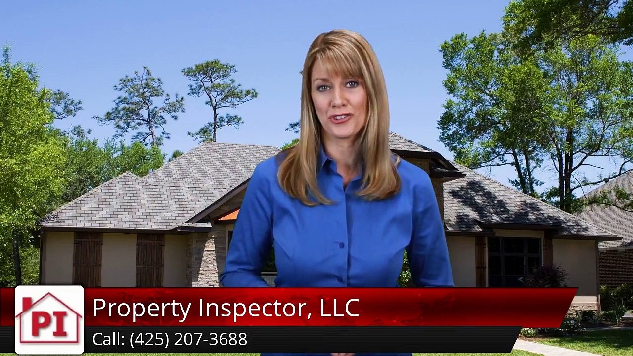 Property Inspector LLC Snohomish Amazing Five Star Review by David T.