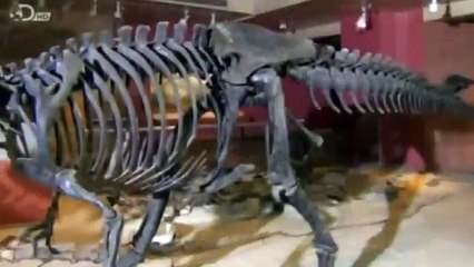 Dinosaurs Documentary_ Reign of the Dinosaurs - The Watering Hole