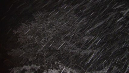 강원 산간 대설주의보...미시령 옛길 차량 통제 / YTN