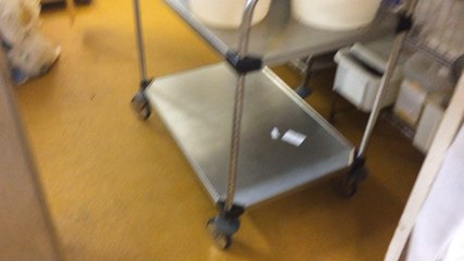 Visite dans les coulisses de la Sfan