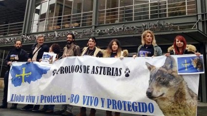 Concentración en defensa del LOBO ante las consejerías del Gobierno del Principado de Asturias