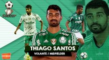 THIAGO SANTOS - Thiago dos Santos - Volante - www.golmaisgol.com.br - HSOCCER