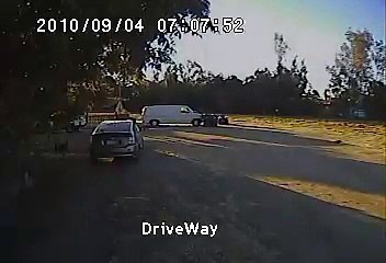 Un coyote vient dévorer un chiot mais regardez qui va le sauver