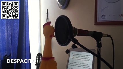 Despacito Chicken Version (Mr. Chicken)