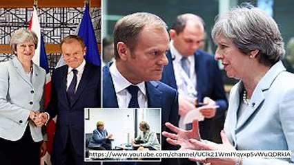 'You need desperate expectations to be valid' Brexiteer Hammers Europhile specialists for Taunting UK