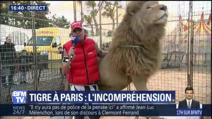 Tigre abattu à Paris: le directeur du cirque Pinder pense lui aussi à "un acte de sabotage"