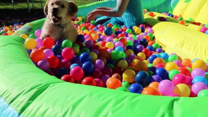 Frozen Elsa vs Scary Clown & Olaf - Real Life Superhero Movie | Superheroes | Spiderman | Superman | Frozen Elsa | Joker