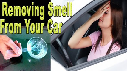 Removing Smell From Your Car (Homemade Remedies)