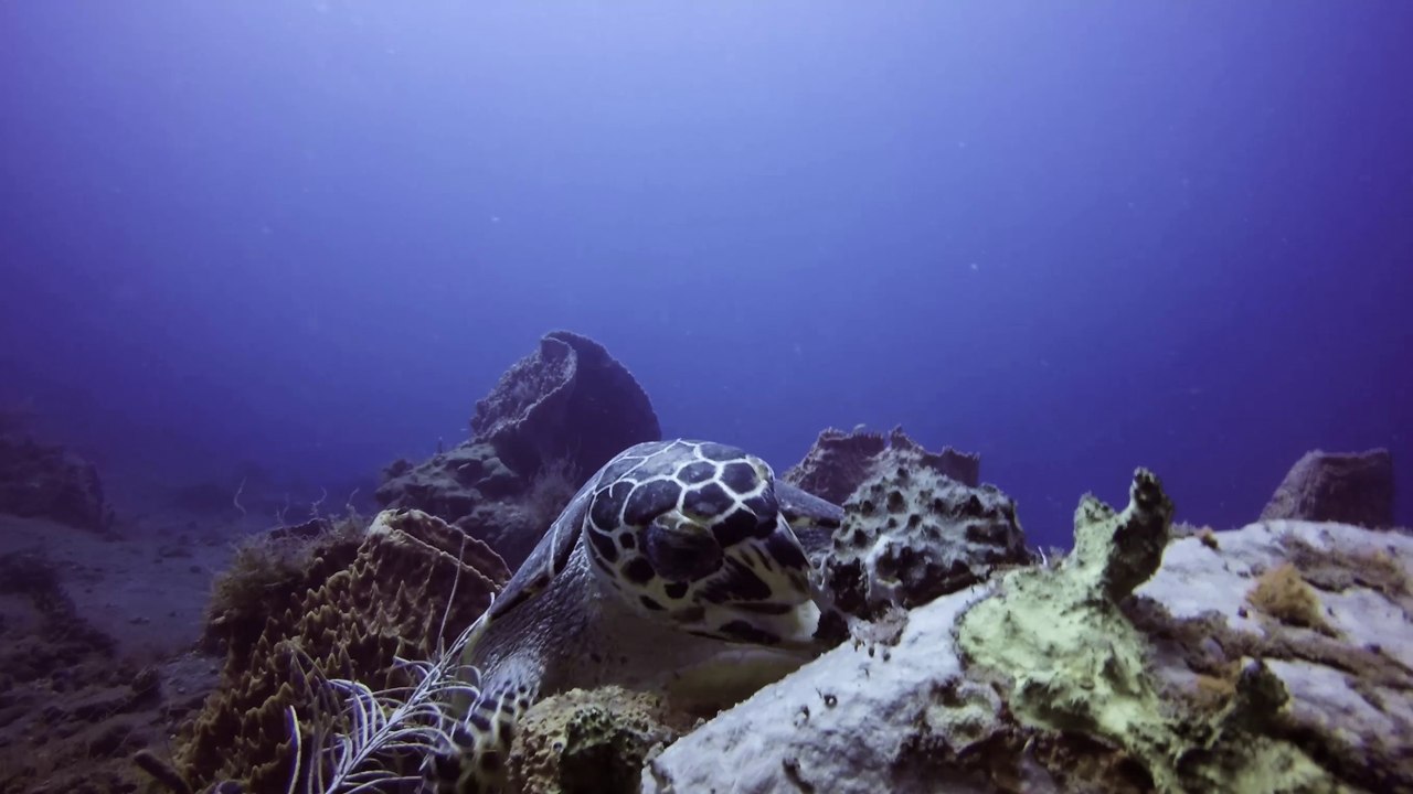 2017-11 - Martinique