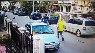 Stray Dog Saves Woman From Robbery