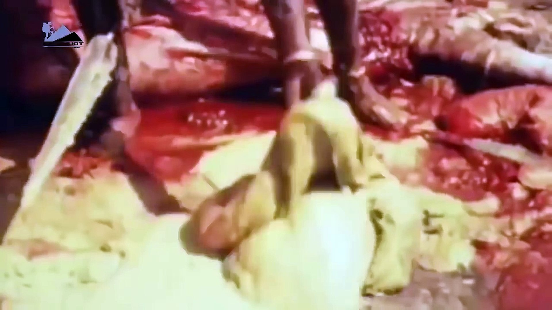 非洲部族打猎野生动物：大象，老虎，狮子