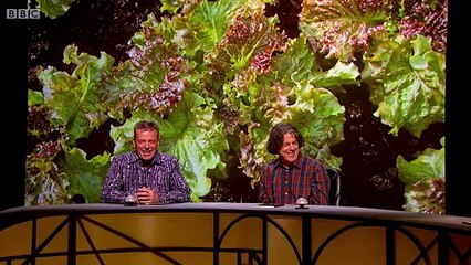 QI XL - L Series E15