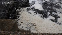 Waves and strong winds hit Porthleven, Cornwall