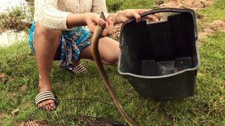 Creative Woman Make Deep Hole Eel Trap Catch A Lot Of Eels Near My Village