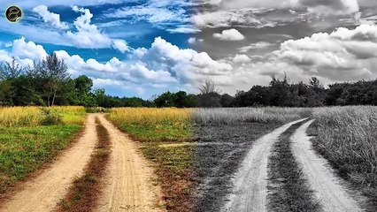 هل تعلم - ماذا يعنى وجود حرف M على كف يدك ؟؟