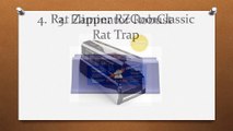 Top 10 Best Rat Traps