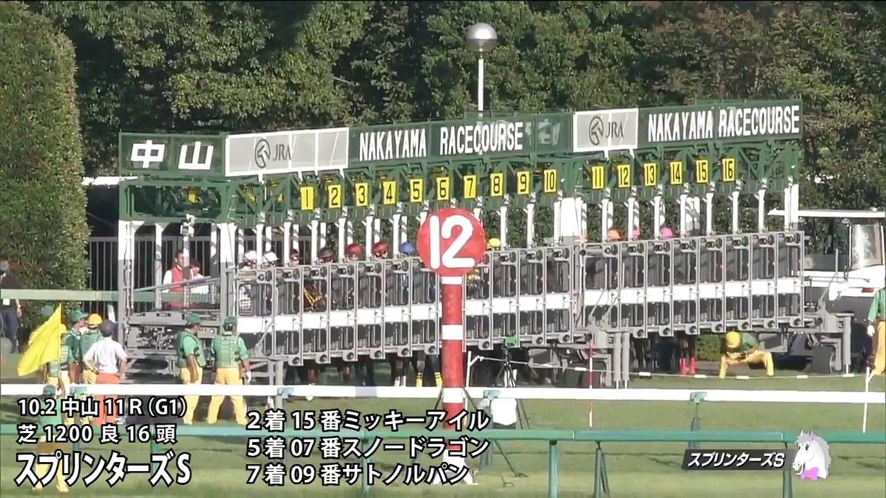 2016年 マイルチャンピオンシップの参考レース映像