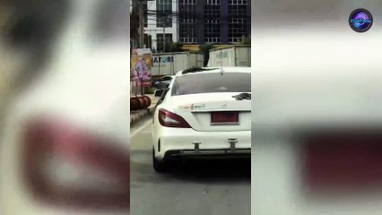 Lizards.. Or Are They?