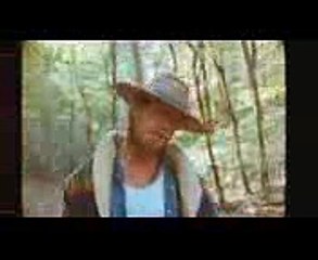 Hailee Steinfeld, Alesso - Let Me Go ft. Florida Georgia Line, watt