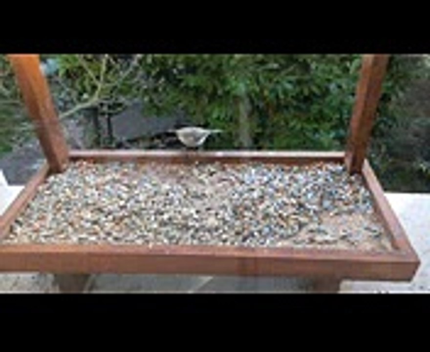 #78 - 3 Minuten mal was anderes ...