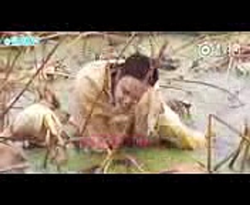 《了不起的挑战》花絮篇 更多爆笑内容尽览无余 (3)