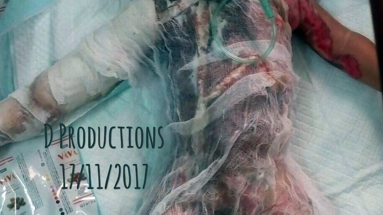 4 years old dead in children fight - Danger Productions Network