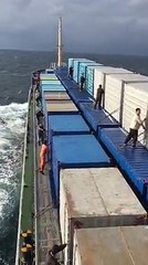 Birds are flying from ship containers