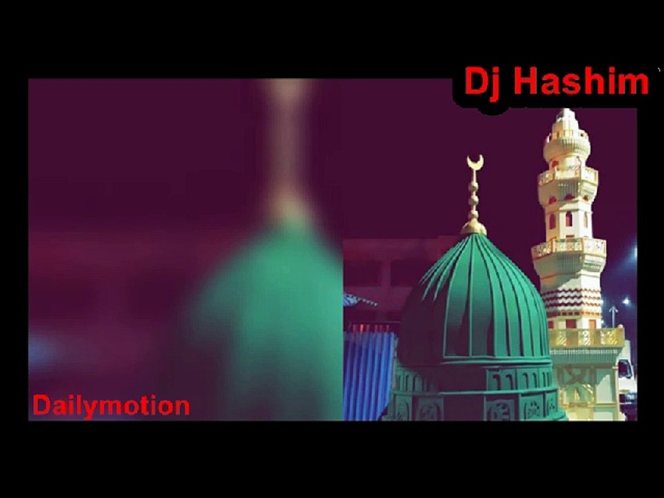 Jitna Diya Sarkar Ne Mujhko - Dj Hashim - Viral Video