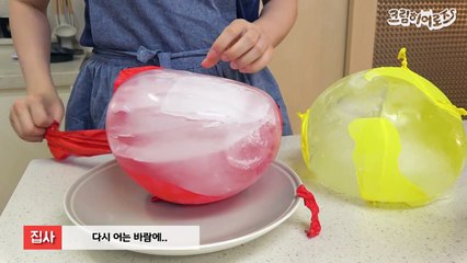 고양이에게 대왕 얼음을 줘봤다