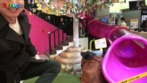 똥 천국 응가체험 놀이터 놀이똥산 방구 계단 똥줄 타기 황금 변기 대장 탐험 쾌변 미끄럼틀 체험하기 뉴욕이랑놀자 NY Toys