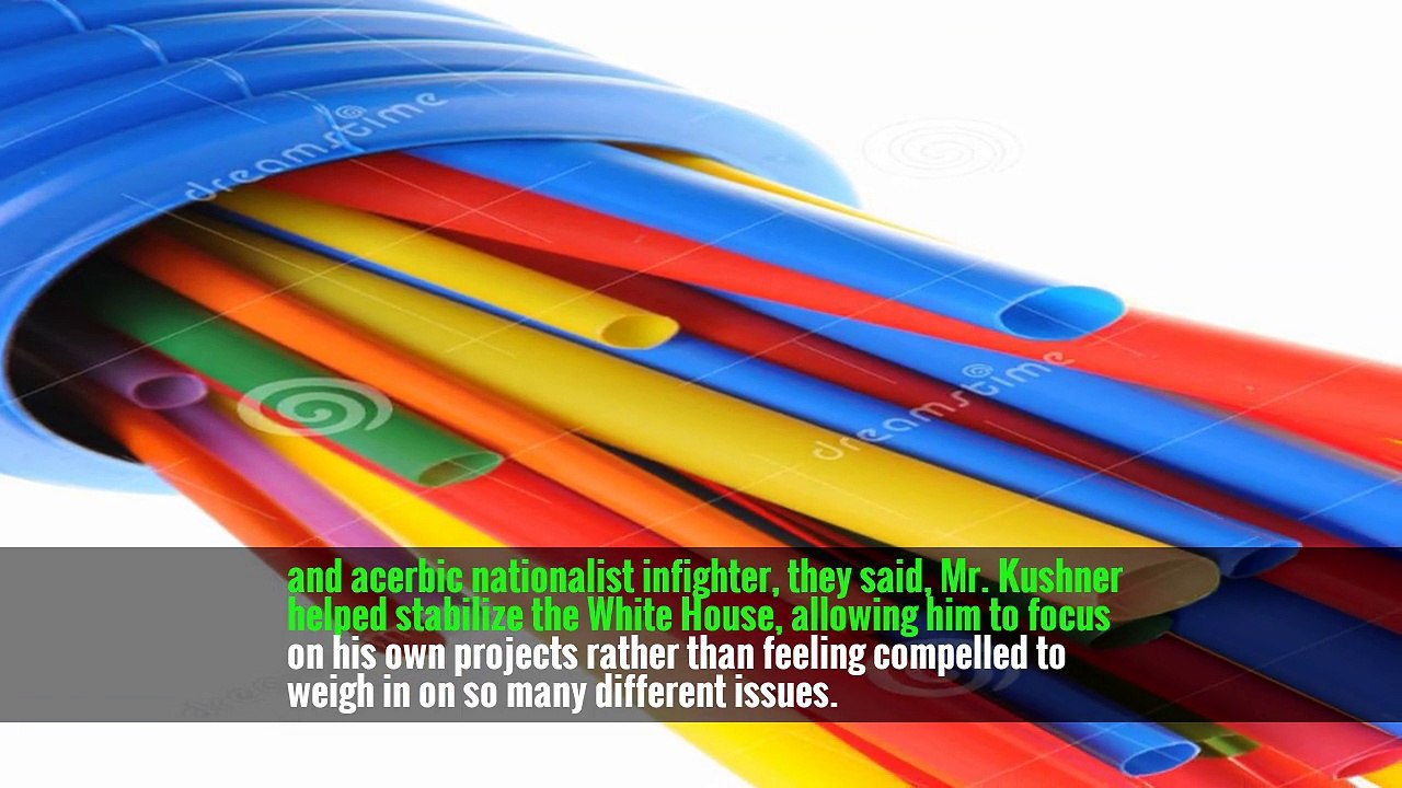 Jared Kushner’s Vast Duties, and Visibility in White House, Shrink