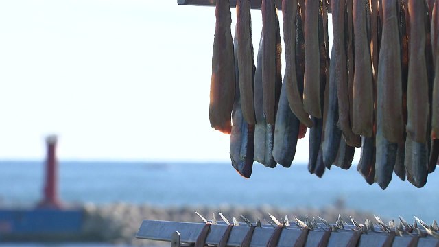 지진 피해 눈덩이...정부 추가 지원 / YTN