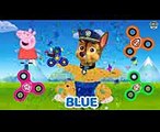 Baby Learn Colors, Paw Patrol FIDGET SPINNERS, Kids Fun Finger Family song, Learn Colours for Kids (2)