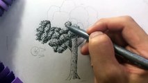 再生10万回超え‼︎面白すぎる【木の描き方】イラストレーターの練習方法！