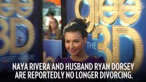 Naya Rivera Calls Off Divorce from Husband Ryan Dorsey Nearly a Year After Split_ Reports