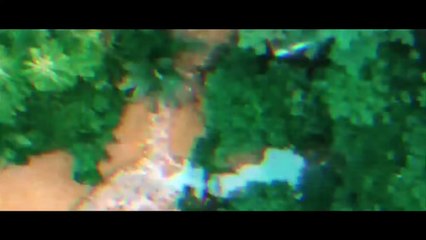 Juliet Ariel - Take Me With You