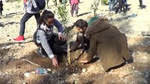 Hatay'da Öğrenciler Narenciye Bahçesi Kurdu