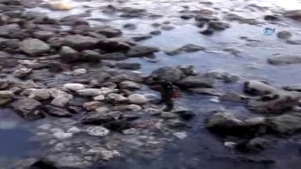 Nehirde Mahsur Kalan Yavru Kediyi Cankur Ekipleri Kurtardı