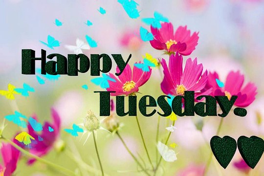 Happy tuesday Good Morning Wishes,Happy tuesday Images, Photos, HD Wallpaper Pics For Facebook ...
