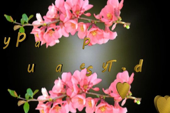 Latest Tuesday Pictures Video,Images,Tuesday Graphics for Facebook Video&Whatsapp Video