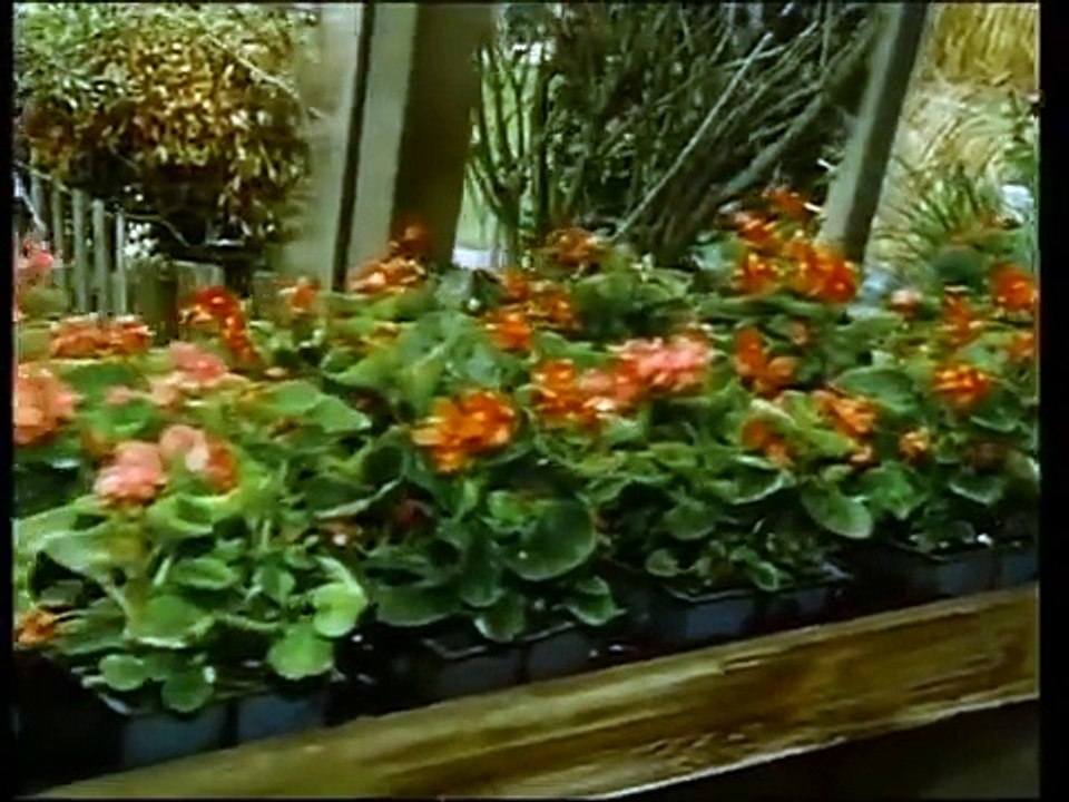 Der Alte  E054 - Der Gärtner