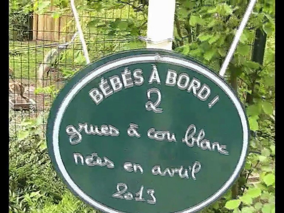 Zoo Beauval-Grues