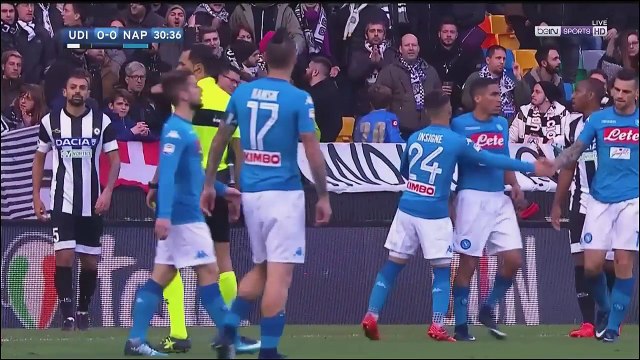 Udinese vs Napoli 0-1 Highlights & All Goals 26.11.2017 HD 720i