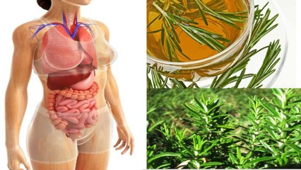 Rosemary Benefits 2017 @ Nature Health Tips & Recipes
